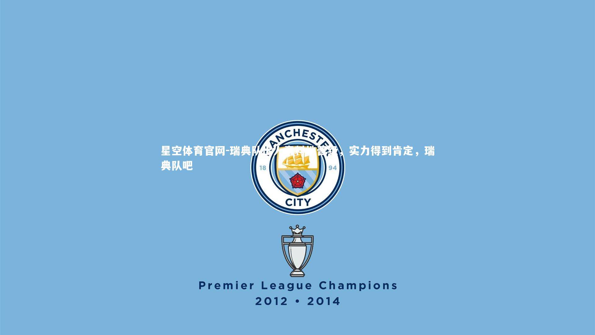 瑞典队出人意料地晋级，实力得到肯定，瑞典队吧